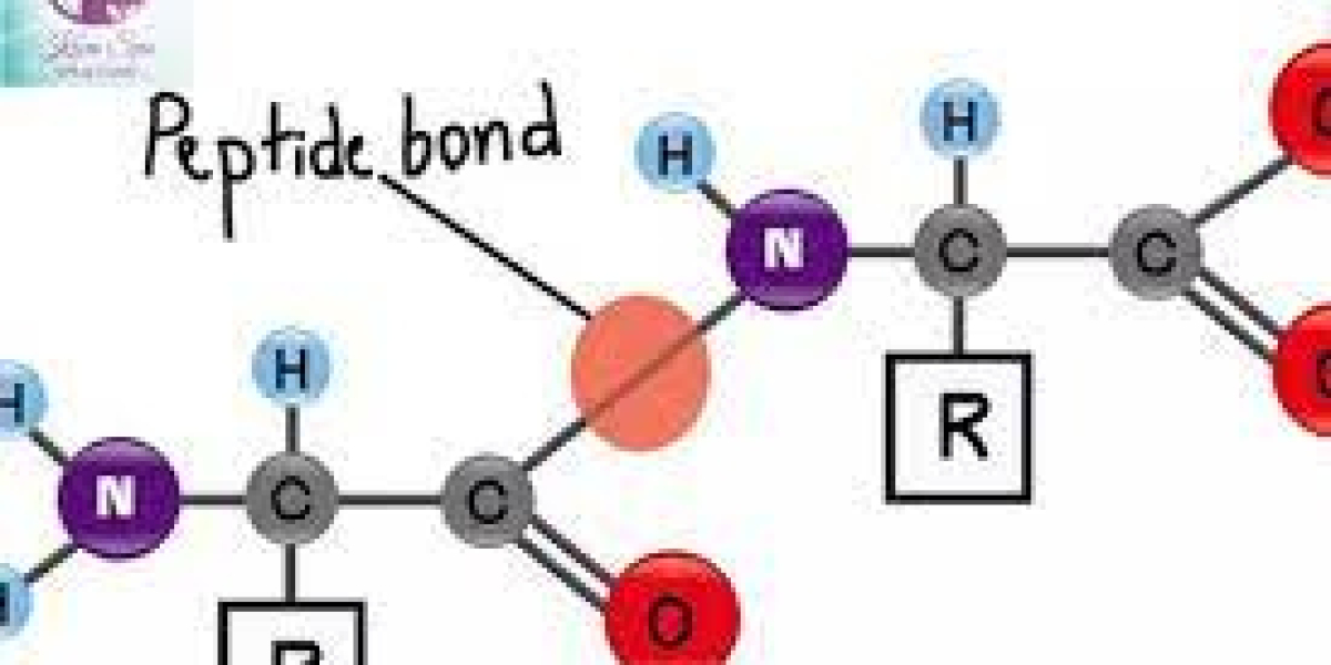 Exploring Peptides: Recovery, Weight Loss, Fat Loss, and More